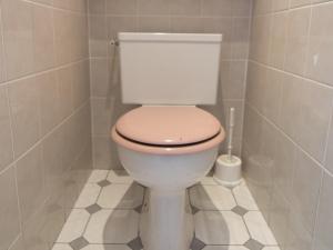 ティーニュにあるAppartement Tignes, 2 pièces, 5 personnes - FR-1-449-137のバスルーム(白いトイレ付)が備わります。