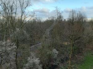 eine Aussicht über einen Wald mit Bäumen und einer Straße in der Unterkunft Zentral und doch Natur in Köln