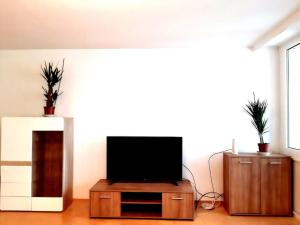 ein Wohnzimmer mit einem Flachbild-TV auf einem Holzständer in der Unterkunft Zentral und doch Natur in Köln
