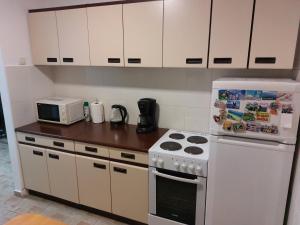 Kuchyň nebo kuchyňský kout v ubytování Apartman Centar