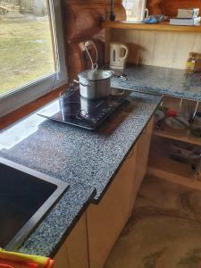 a kitchen with a stove with a pot on it at Відпочинок у Закарпатті in Kushnytsya