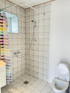 La salle de bains est pourvue d'une douche et de toilettes. dans l'établissement Skjernaa-ferie/ Andersen Invest, à Skjern
