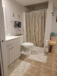 a bathroom with a toilet and a sink and a shower at Saugeen Shores Vacation Rental in Port Elgin