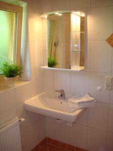 Koupelna v ubytování Wörglerhof's Hüttenapartments mit Kachelofen