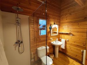 uma casa de banho com um chuveiro, um WC e um lavatório. em El Pi Solitari em Camprodon