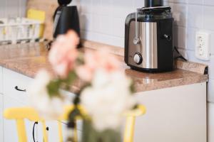 a toaster sitting on a counter in a kitchen at Mediterranean House with private garden near Crikvenica in Drivenik