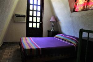 ein Schlafzimmer mit einem Bett und eine Tür mit einem Fenster in der Unterkunft Cabañas Rústicas El Benny by Rotamundos in Loreto