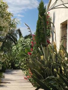 een tuin met rode bloemen en een houten loopbrug bij La Villa Vaihéré en Camargue, l'Hibiscus et le Magnolia in Saintes-Maries-de-la-Mer