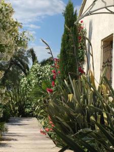 Vonkajšia záhrada v ubytovaní La Villa Vaihéré en Camargue, l'Hibiscus et le Magnolia