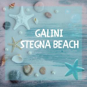 a sign with shells and the words clam stevia beach at GALINI STEGNA BEACH in Archangelos