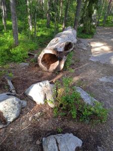 un gran tronco de árbol sentado junto a algunas rocas en Ellivuori. Ellin Pooli 4, en Sastamala