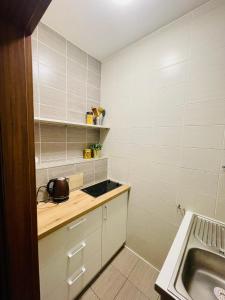 Kuchyň nebo kuchyňský kout v ubytování Liepu Apartments Druskininkai + 8 fotografií