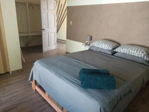 a bedroom with a large bed with two pillows at B&B Le Villette Las Lajas in Las Lajas