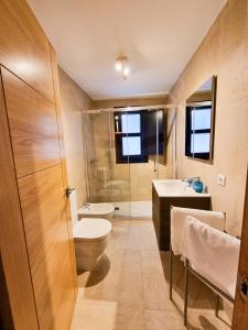 ein Bad mit einem WC, einem Waschbecken und einer Dusche in der Unterkunft BarloventoCudillero in Cudillero