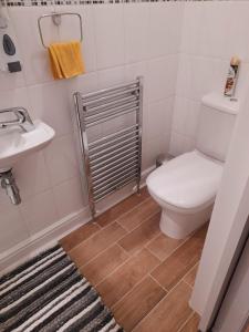 a bathroom with a toilet and a sink at Modern flat near city centre. in Edinburgh