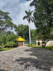 een oprit met een palmboom en een huis bij Villa Esperanza in Ticumán