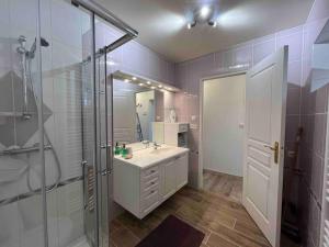 a bathroom with a sink and a shower and a mirror at Charmant logement à Sancerre in Sancerre
