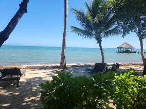 Maya Beach的住宿－瑪雅海灘酒店，海滩上,有椅子和棕榈树,还有大海