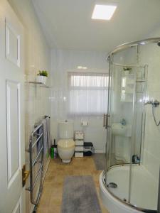 Un baño con ducha de cristal y un inodoro. en SPACIOUS 3 BED HOUSE WITH PARKING & GOOD TRANSPORT, en South Norwood