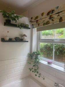 a bathroom with a tub and a window with a plant at Hilltop Cottage in Thropton