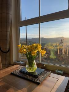a vase with yellow flowers on a table in front of a window at Hilltop Cottage in Thropton