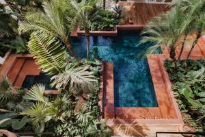 una piscina en un jardín con palmeras y plantas en Sendero Hotel, en Nosara