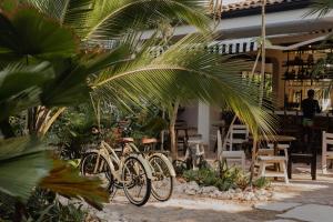 Foto sihtkohas Nosara asuva majutusasutuse Sendero Hotel galeriist