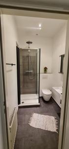 een badkamer met een douche, een toilet en een wastafel bij Homelike City Apartment in Wenen