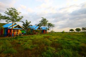 a row of colorful houses in a field at PASERANG PARIRI PARADISE in Labuberu