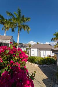 a house with pink flowers and a palm tree at La Vista Resort in Simpson Bay