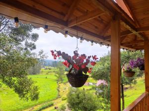 una maceta colgada de un porche con vistas en HOTEL CABAÑAS SANTO TOMAS en Paipa