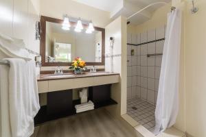 a bathroom with a sink and a shower at La Vista Resort in Simpson Bay