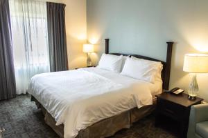 Postel nebo postele na pokoji v ubytování Staybridge Suites Minot by IHG