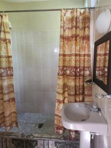 La salle de bains est pourvue d'un lavabo et d'un rideau de douche. dans l'établissement Hotel Casa de Don Francisco, à Flores