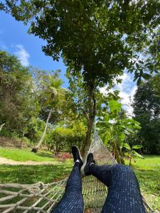 a person laying on a hammock under a tree at Hotel Jasayma dentro del Parque Tayrona in El Zaino