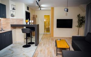 salon z kanapą oraz kuchnia z barem w obiekcie Panorama Suites w mieście Plewen