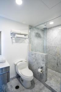 a bathroom with a toilet and a glass shower at Elite 47 Interlomas in Mexico City