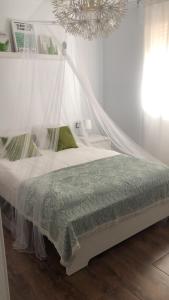 ヘレス・デ・ラ・フロンテーラにあるCasa Lolaのベッドルーム(天蓋付き白いベッド1台付)