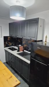 eine Küche mit schwarzen Schränken und einem schwarzen Kühlschrank in der Unterkunft Divine House Straja in Lupeni