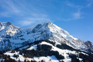 a snow covered mountain with trees in front of it at Chalet-Hotel Beau-Site in Adelboden