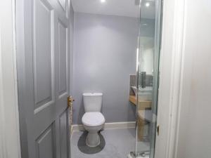 ein Badezimmer mit Toilette und Glastür in der Unterkunft Beas Cottage in Highpeak Junction