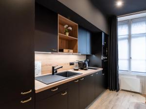 - une cuisine avec des placards noirs et un évier dans l'établissement Appartement chic proche Bellecour avec parking, à Lyon