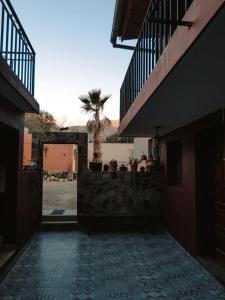 a courtyard with a palm tree in a building at La Colorada Hostal in Tilcara
