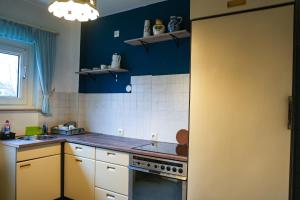 a kitchen with blue walls and a stove top oven at Gemütliche 3-Zimmer-Wohnung-in-Gladbeck in Gladbeck
