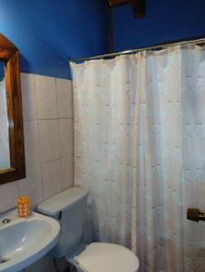 a bathroom with a toilet and a sink at Hospedaje Picoyo in Pucón