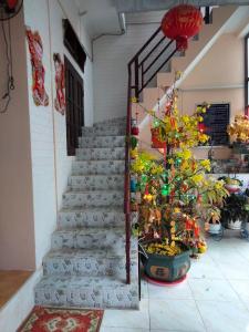 un conjunto de escaleras en una habitación con plantas en Bảo Hoàng HomeStay, en Con Dao