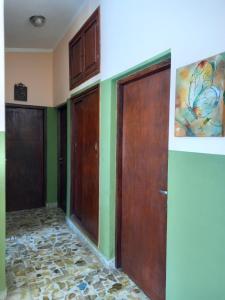 two wooden doors in a room with green walls at Hospedaje in Salta