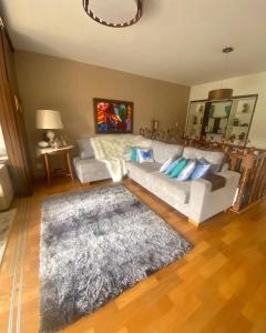 - un salon avec un canapé blanc et un tapis dans l'établissement Duplex Vista da Serra, à Campos do Jordão