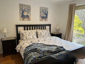 1 dormitorio con 1 cama y una ventana con 2 lámparas en Golfview Villa, en Warburton