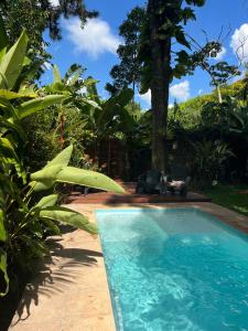 een zwembad in een tuin met bomen bij Casa Jaguar in Puerto Iguazú